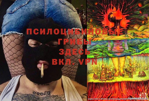 ПСИЛОЦИБИНОВЫЕ ГРИБЫ Алексеевка